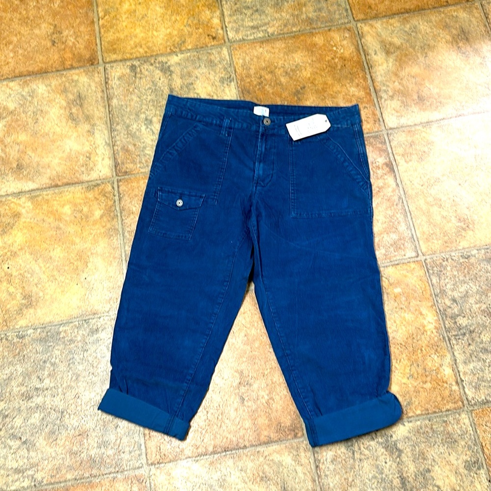 Time and Tru  cargo pants size 16